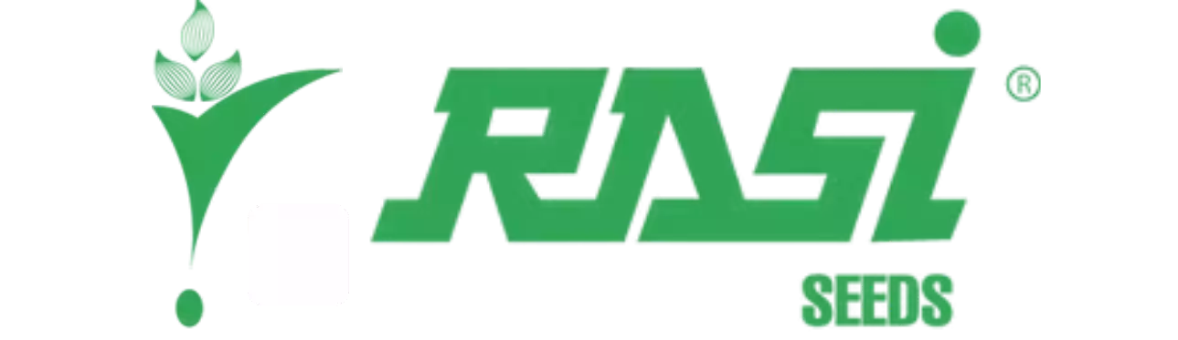 Rasi Seeds