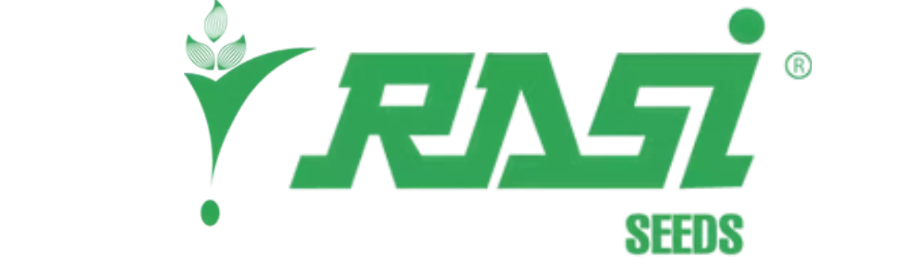 Rasi Seeds